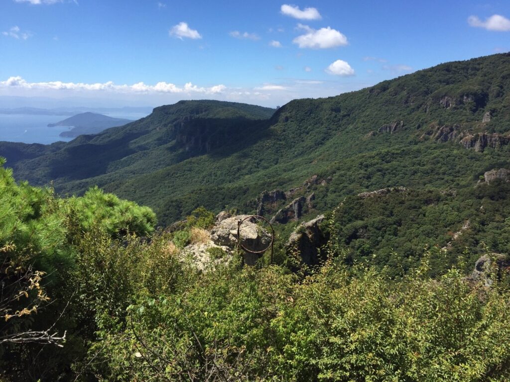 【令和3年度】2021年ふるさと納税ワーストランキング100から選ぶ返礼品