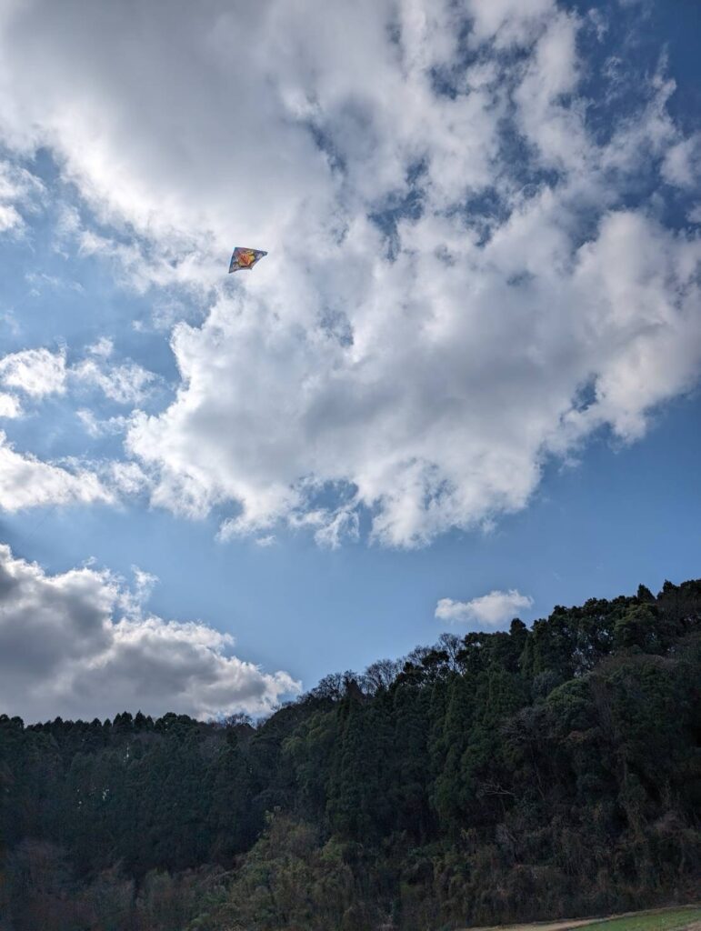 2024年は玄人投資家ほど難しい相場と感じているのでは？